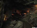 Rio Camuy Cave Park - CAMUY